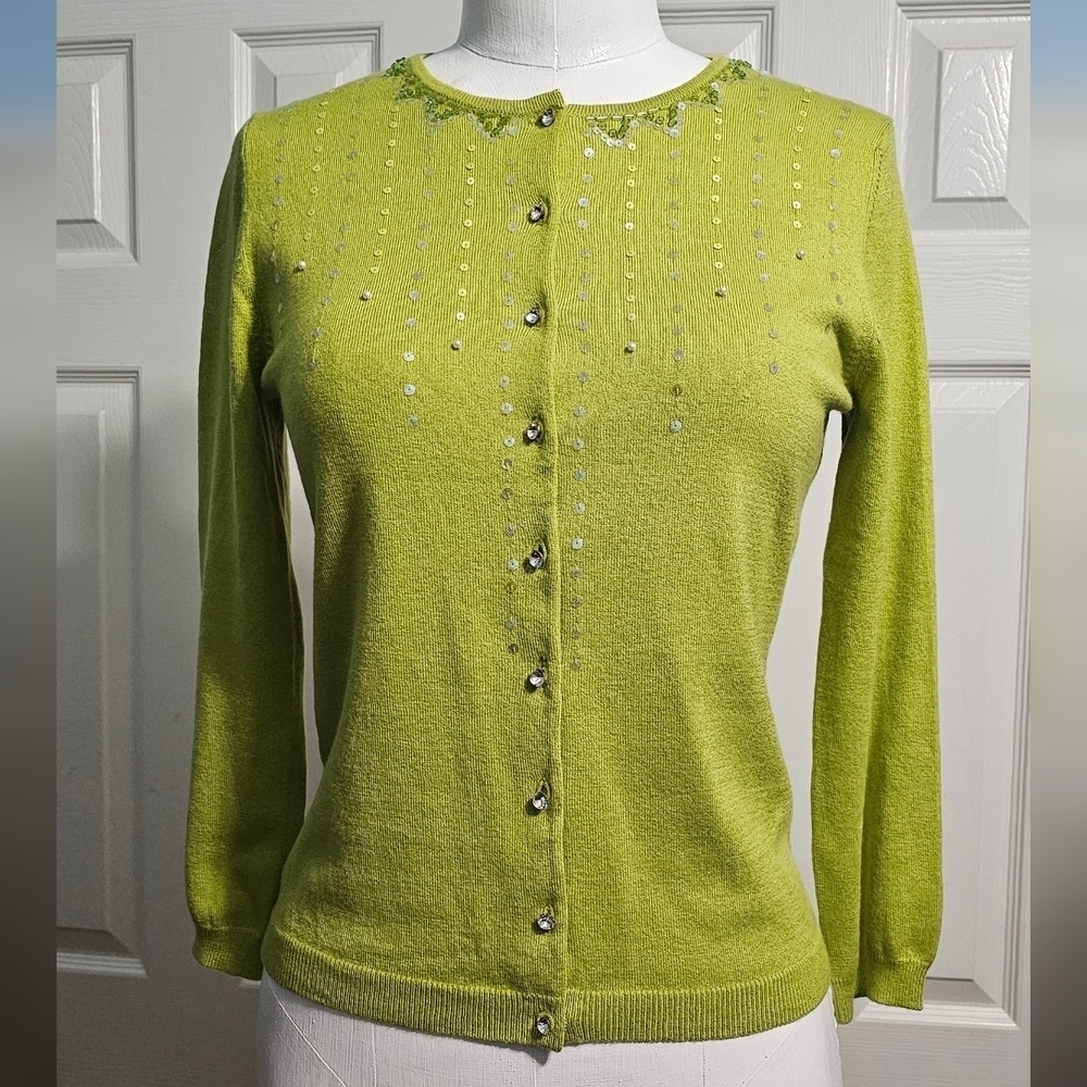 Express Silk Cashmere Blend Women's Green Sweater Medium